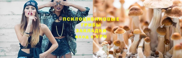 амфетамин Вяземский