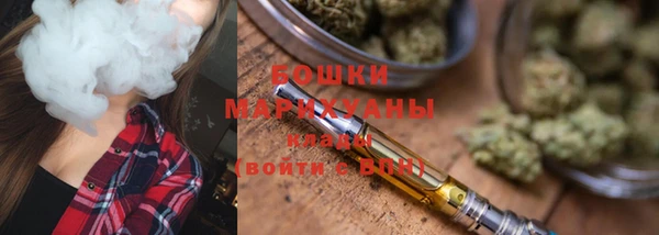 гашик Вязьма