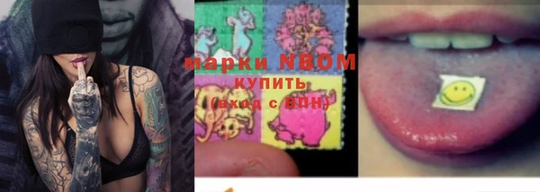 гашик Вязьма