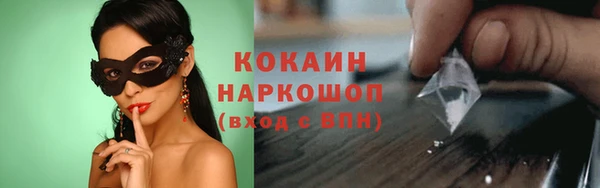 гашик Вязьма