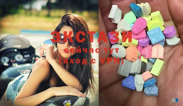 гашик Вязьма