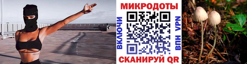 Псилоцибиновые грибы мухоморы  где купить наркотик  Коломна 
